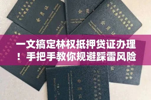 太原一文搞定林权抵押贷证办理！手把手教你规避踩雷风险