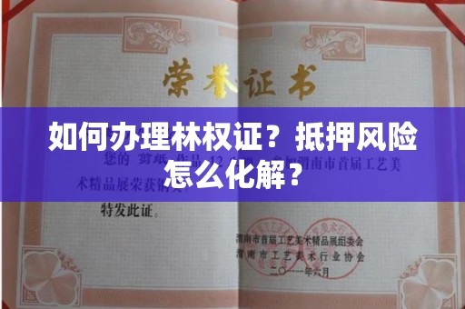 太原如何办理林权证?抵押风险怎么化解?