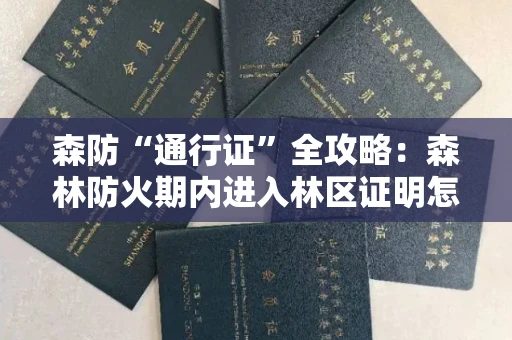 太原森防“通行证”全攻略:森林防火期内进入林区证明怎么开?材料清单来了!