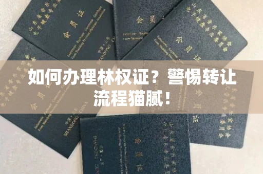 太原如何办理林权证?警惕转让流程猫腻!