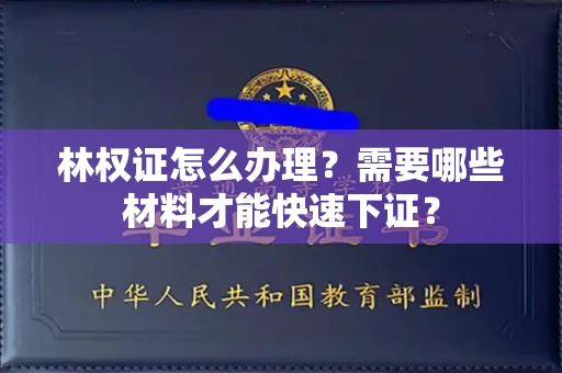 太原林权证怎么办理?需要哪些材料才能快速下证?
