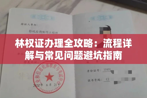 太原林权证办理全攻略:流程详解与常见问题避坑指南