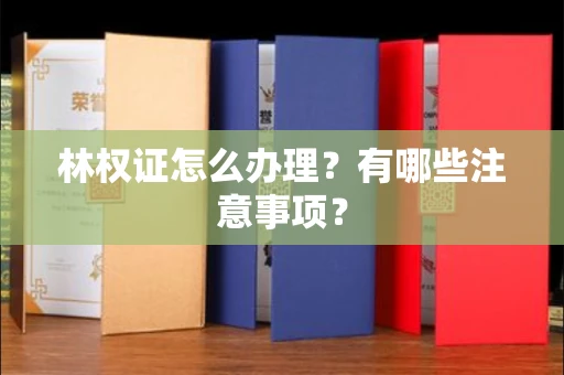 太原林权证怎么办理?有哪些注意事项?