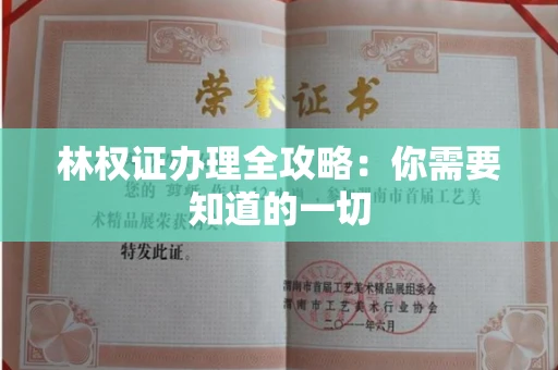 太原林权证办理全攻略:你需要知道的一切