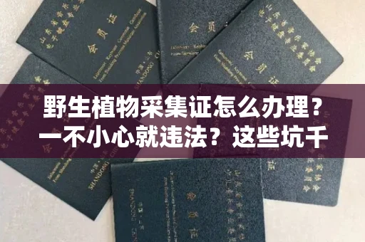 太原野生植物采集证怎么办理?一不小心就违法?这些坑千万别踩!