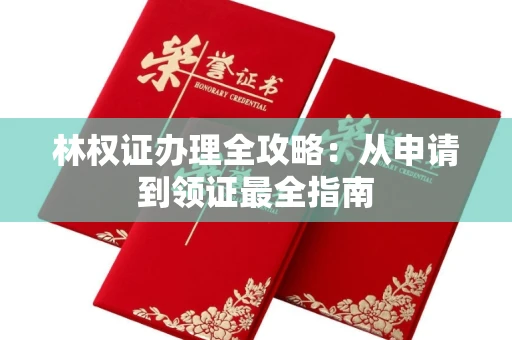 太原林权证办理全攻略:从申请到领证最全指南