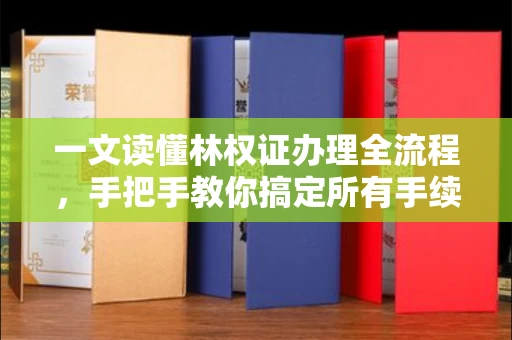 太原一文读懂林权证办理全流程,手把手教你搞定所有手续