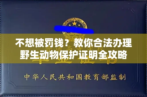 太原不想被罚钱?教你合法办理野生动物保护证明全攻略