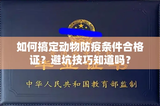 太原如何搞定动物防疫条件合格证?避坑技巧知道吗?