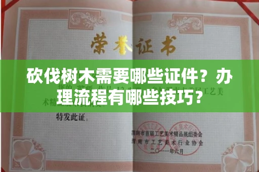 太原砍伐树木需要哪些证件?办理流程有哪些技巧?