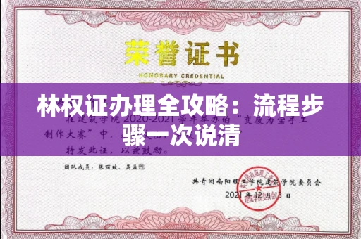 太原林权证办理全攻略:流程步骤一次说清