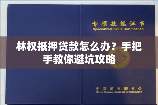 太原林权抵押贷款怎么办？手把手教你避坑攻略