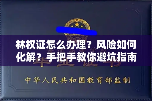 太原林权证怎么办理?风险如何化解?手把手教你避坑指南