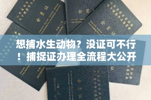 太原想捕水生动物？没证可不行！捕捉证办理全流程大公开