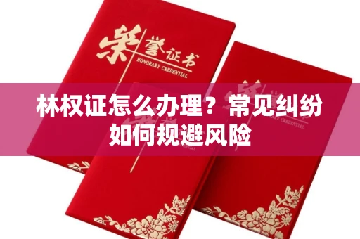 太原林权证怎么办理?常见纠纷如何规避风险