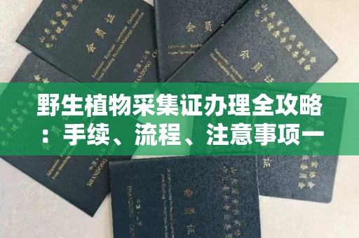 太原野生植物采集证办理全攻略:手续、流程、注意事项一网打尽