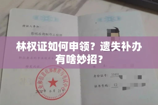 太原林权证如何申领?遗失补办有啥妙招?